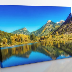 Colorado Mountain Forest Canvas Print: Framed Landscape Wall Art