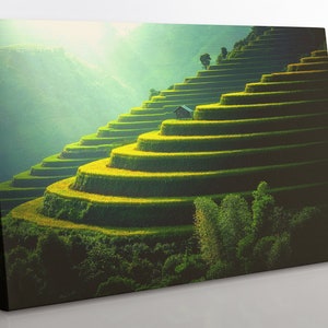 Impressão em tela de campos de arroz do Vietnã: grande arte de parede com paisagem