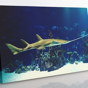 Sawfish Canvas Print: Framed Shark Wall Art