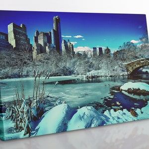 Central Park Winter Canvas Print: Framed NYC Landscape Wall Art