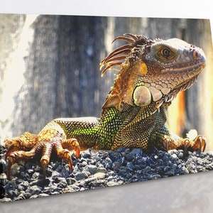 Arte mural de lienzo de Iguana, gran casa de lagarto enmarcado decoración arte de pared, habitación estética decoración impresión de reptil para la oficina, arte de la pared del dormitorio