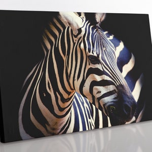 Zebra Canvas Print: Large Framed Giclee Wall Art