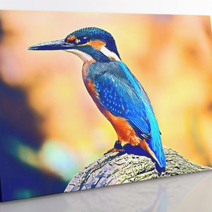 Kingfisher Canvas Print: Framed Bird Wall Art