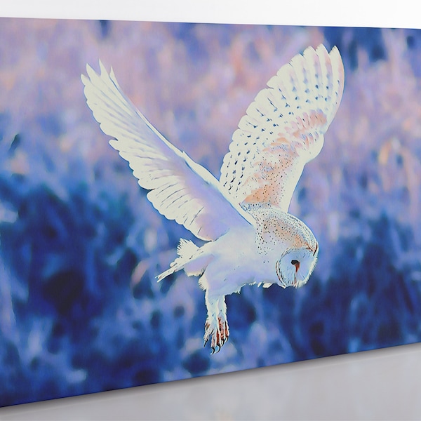 Owl Wall Art Etsy UK