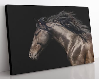 Black Horse Canvas Print: Framed Animal Wall Art