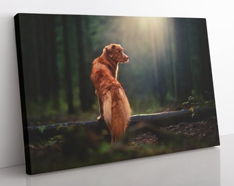 Nova Scotia Duck Tolling Retriever Canvas Wall Art, Large Framed Dog Print Home Decor Wall Art, Aesthetic Room Decor Gift For Dog Lover