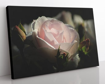 Pink Rose Canvas Print: Large Floral Wall Art, Modern Home Decor