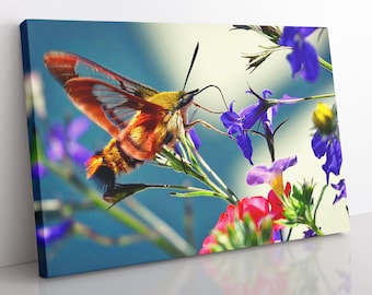 Hummingbird Canvas Print: Floral Nature Wall Art