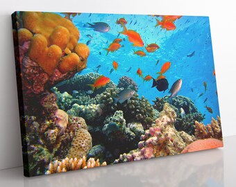 Coral Reef Canvas Print: Large Framed Ocean Wall Art