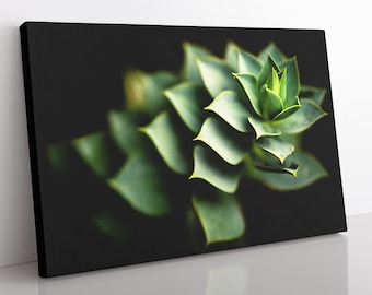 Aloe Vera Kaktus Leinwanddruck: Gerahmt Wohnkultur Wandbild
