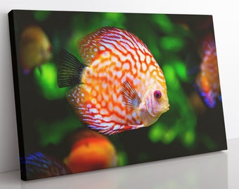 Discus Fish Coral Reef Canvas Wall Art, Large Framed Fish Print Home Decor Wall Art, Aesthetic Room Decor For Office And Bedroom Wall Art