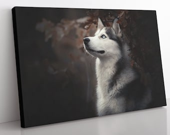 Siberian Husky Canvas Print: Framed Dog Wall Art