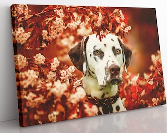 Dalmatiner Hund Leinwanddruck: Gerahmte Wandkunst, Geschenk für Hundeliebhaber