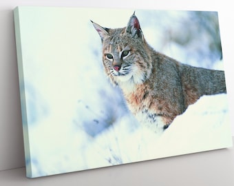 Eurasischer Luchs Leinwanddruck: Große gerahmte Katzenwandkunst