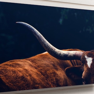 Texas Longhorn Koe Aluminium Wall Art, grote waterdichte metalen dierenprint Home Decor Wall Art, klaar om Texas Cow Wall Art op te hangen.
