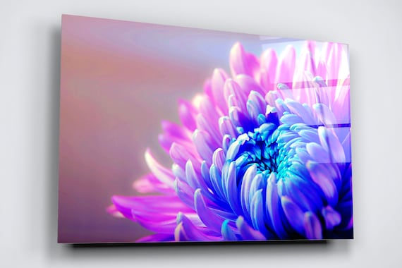 flower wall クリアポスター Chrysanthemum Flower Acrylic Glass Wall Art: High Gloss Floral