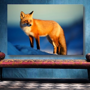 Arctic Fox Wall Art, Large Unframed Fox Poster Print Home Decor Wall Art, Aesthetic Room Decor, Animal Wall Decor.