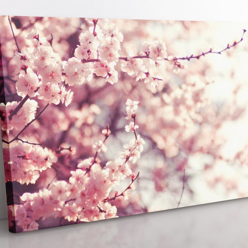 Japanese Sakura Cherry Blossom Wall Decor Canvas Cherry Etsy