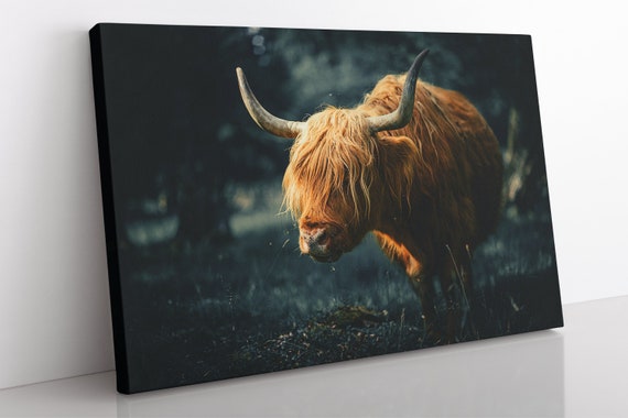 ZFTCN Divertente altopiano mucca arte da parete in vasca da bagno, in bianco e nero, per soggiorno, bagno, camera da letto, decorazione senza cornice