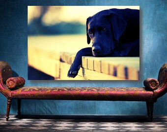 Black Labrador Print: Large Dog Poster, Home Decor Wall Art