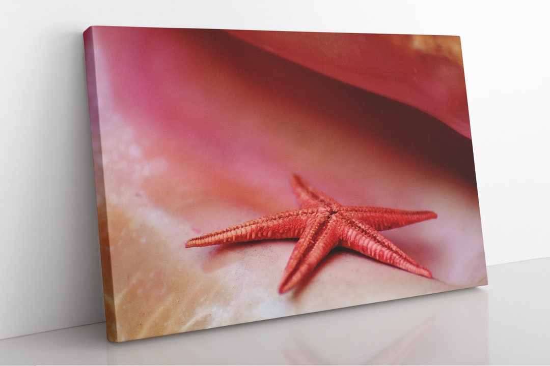 Starfish Canvas Wall Art, Large Framed Starfish Print Home Decor Wall
