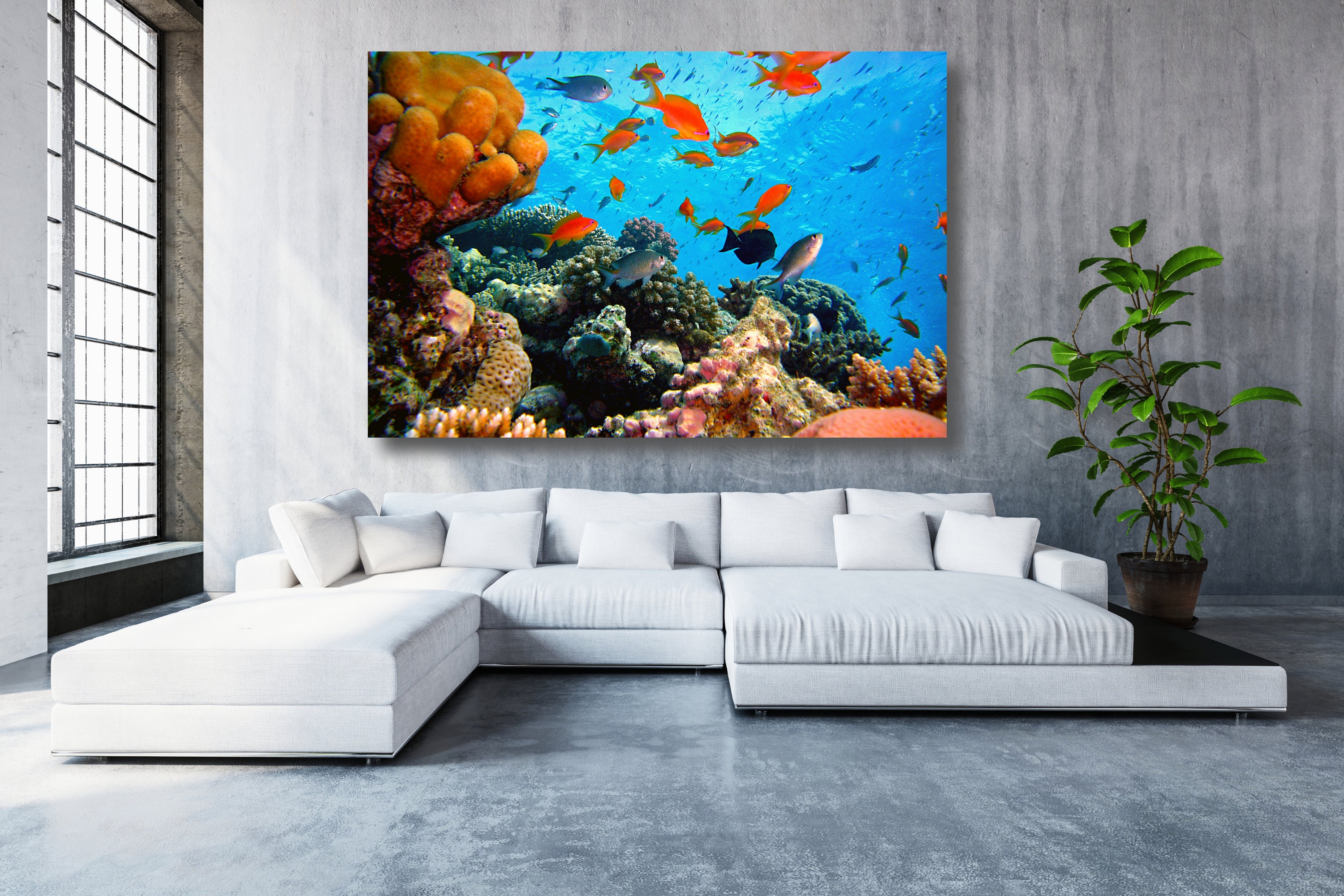 Coral Reef Canvas Wall Art Large Framed Ocean Print Home | Etsy