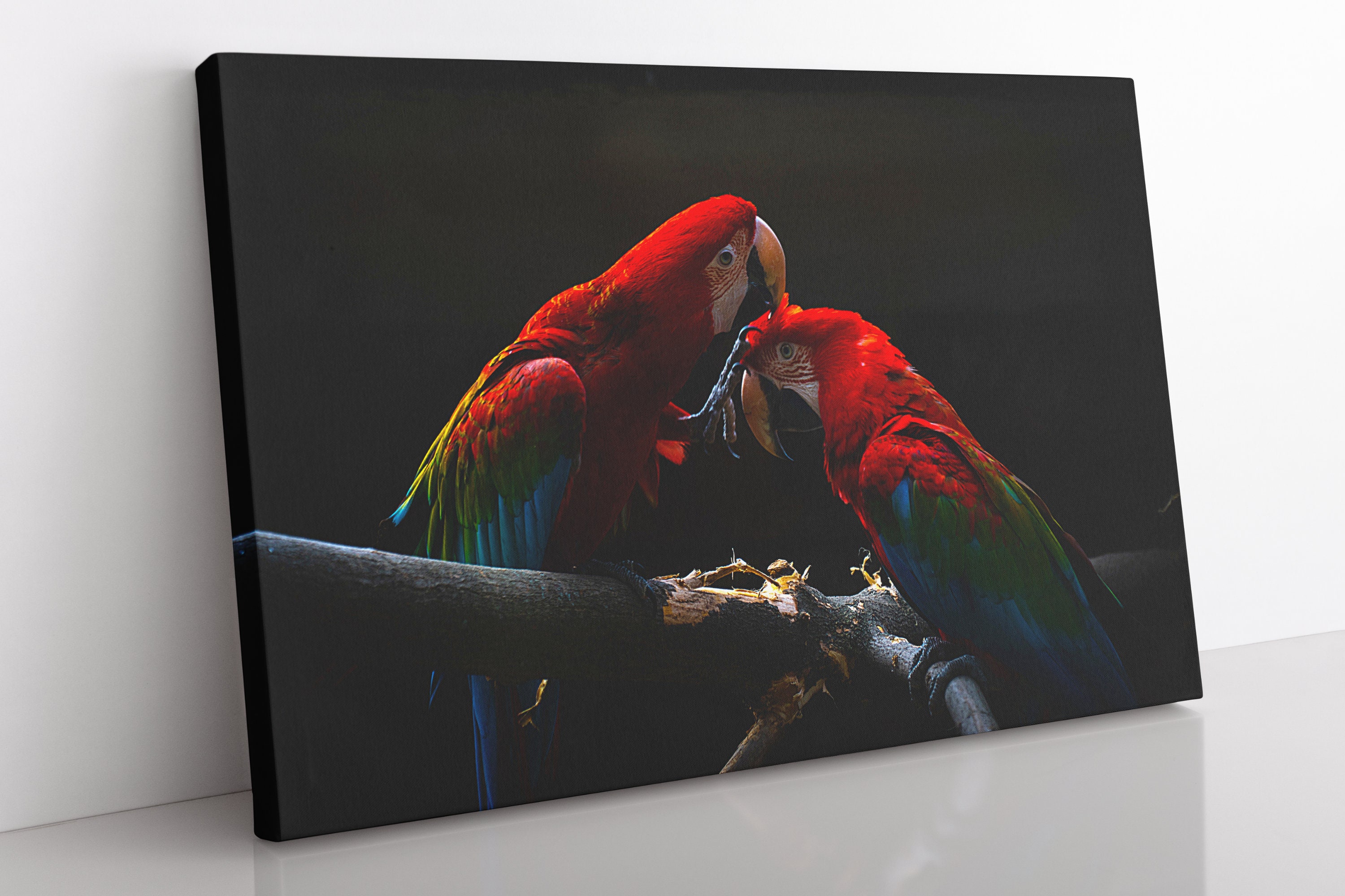 Parrots Canvas Wall Art Large Framed Parrot Print Home Decor Etsy