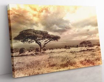 African Savannah Sunset Canvas Print: Framed Landscape Wall Art