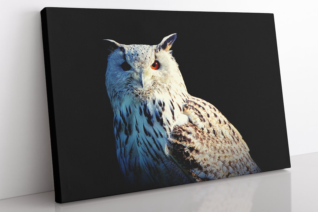 Snowy Owl Canvas Print: Large Framed Wall Art - Etsy