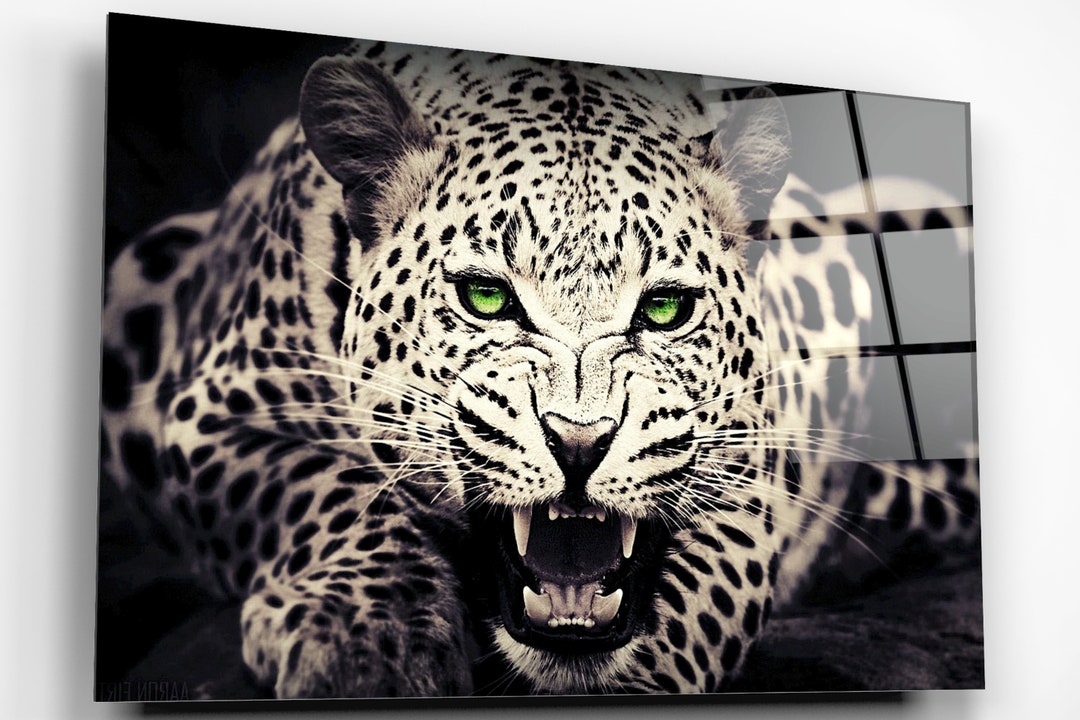 Leopard Acrylic Glass Wall Art, Large High Gloss Home Decor Big Cat Wall Art, Ready to Hang