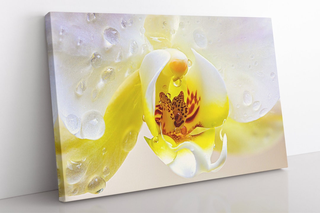 Abstract Art Yellow Orchid Flower Canvas Wall Art, Large Framed Floral ...