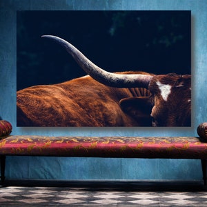 May include: A close-up of a brown and white longhorn steer with large horns. The steer is looking to the right of the frame. The background is dark and blurry.