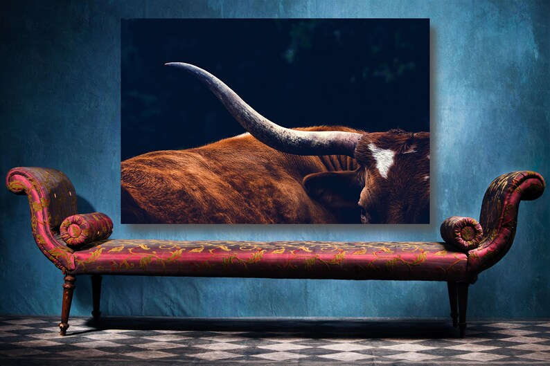 May include: A close-up of a brown and white longhorn steer with large horns. The steer is looking to the right of the frame. The background is dark and blurry.
