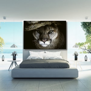 May include: A close-up of a cougar's face, with green eyes, looking directly at the camera. The cougar is in a dark, shadowy setting.