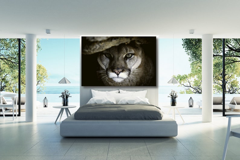 May include: A close-up of a cougar's face, with green eyes, looking directly at the camera. The cougar is in a dark, shadowy setting.