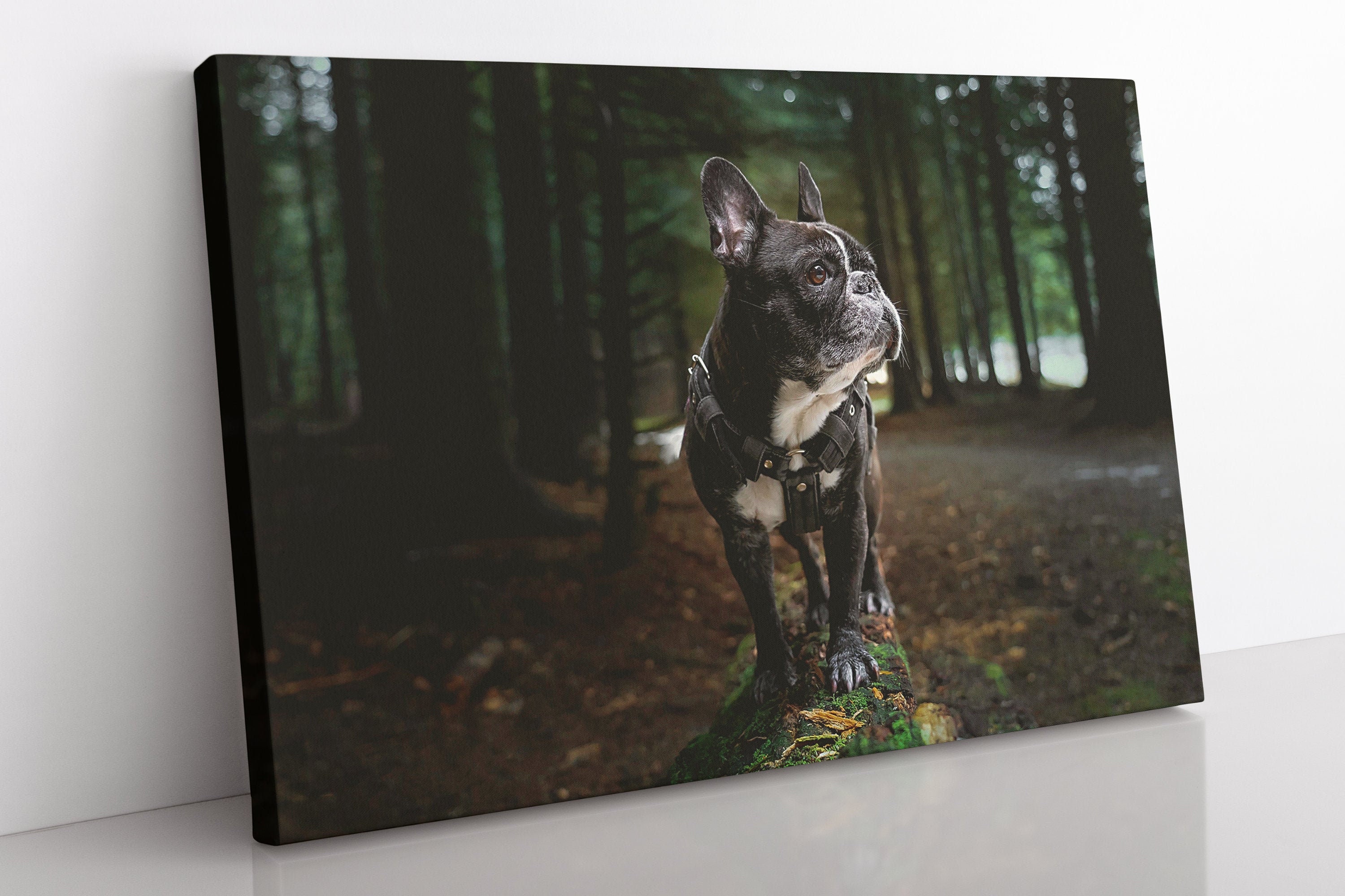 French Bulldog Canvas Wall Art Large Framed Dog Print Home Etsy UK