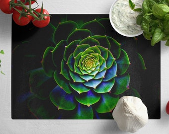 May include: A close-up of a green succulent plant with a spiral pattern. The plant is on a black background.
