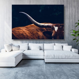 May include: A close-up of a brown and white Texas Longhorn bull with large horns. The bull is standing in a dark, shadowy background.