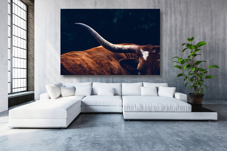 May include: A close-up of a brown and white Texas Longhorn bull with large horns. The bull is standing in a dark, shadowy background.