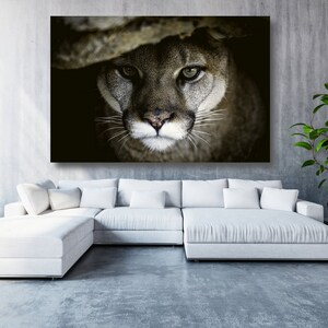 May include: A close-up of a cougar's face, with its green eyes staring directly at the camera. The cougar is partially hidden in the shadows, with only its head and shoulders visible.