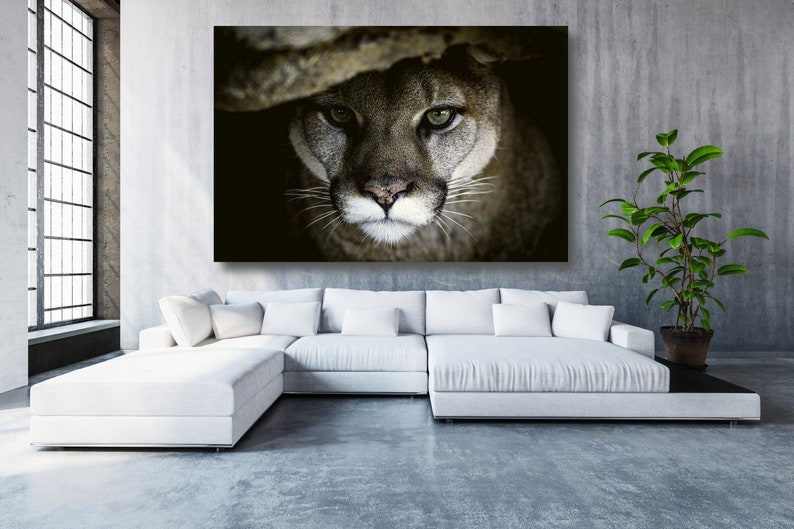May include: A close-up of a cougar's face, with its green eyes staring directly at the camera. The cougar is partially hidden in the shadows, with only its head and shoulders visible.