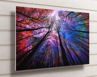 Op de afbeelding: Een onderaanzicht van een bos met hoge bomen die reiken naar een kleurrijke lucht. De lucht is een mix van roze, paars, blauw en groen met een sterrenpatroon. De bomen zijn gesilhouetteerd tegen de lucht.