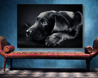 Black Labrador Poster Print: Large Dog Wall Art