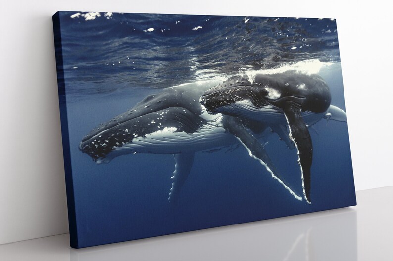 Mother And Baby Whale Canvas Wall Art Large Framed Animal Uk - Whale Gifts And Home Decor Uk Mother And Baby Whale Canvas Wall Art Large Framed Animal Uk - Whale Gifts And Home Decor Uk