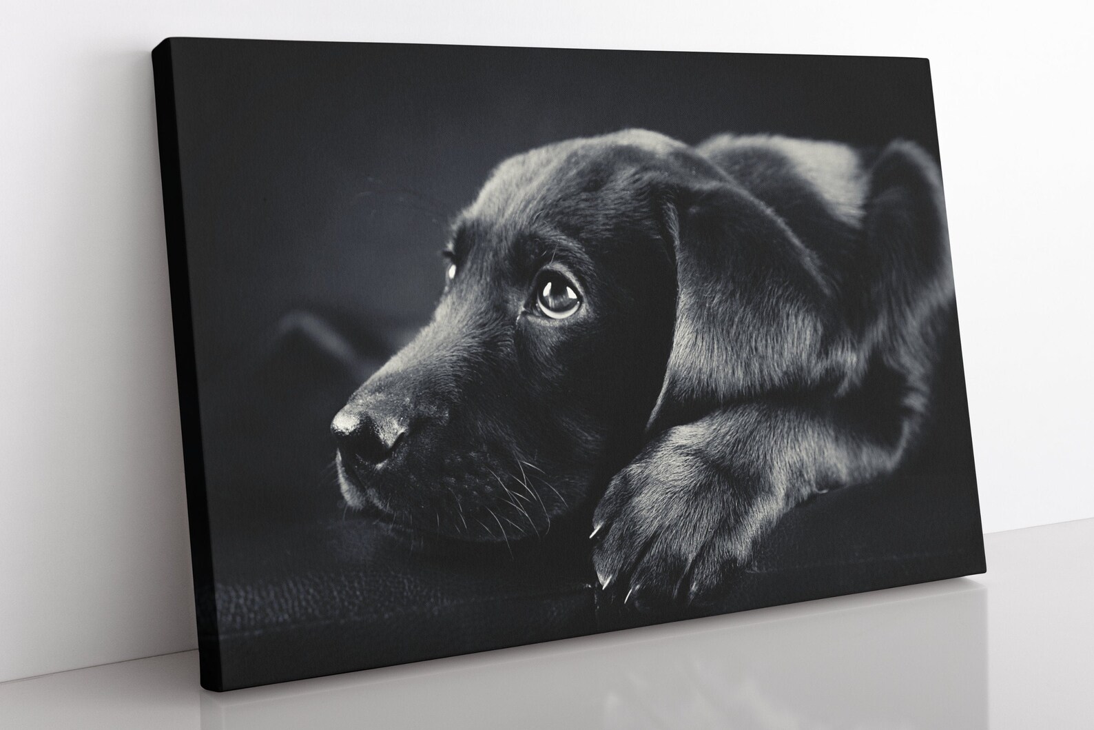 Black Labrador Retriever Canvas Wall Art Framed Dog Canvas Etsy UK