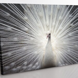 White Peacock Canvas Wall Art, Large Framed Peacock Print Home Decor Wall Art, Aesthetic Room Decor Bird Canvas Print.
