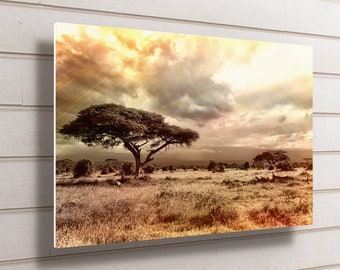 Op de afbeelding: Een sepia-getinte foto van een savannelandschap met een grote boom op de voorgrond. De lucht is gevuld met dramatische wolken en de zon schijnt erdoorheen.