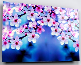 May include: A close-up of a branch of white cherry blossoms with pink centers against a blue background.