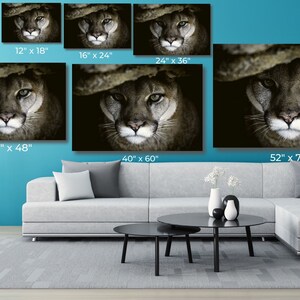 May include: A close-up photograph of a mountain lion's face. The animal's fur is a light brown color and its eyes are a bright green. The background is dark and blurry.