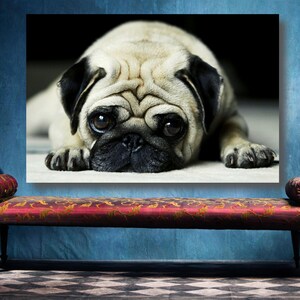 Pug Dog Poster Print: Large Unframed Pet Wall Art